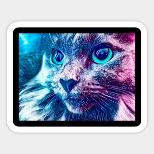 Gray Cat in a light of Fantasy Sticker